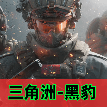 三角洲黑豹辅助