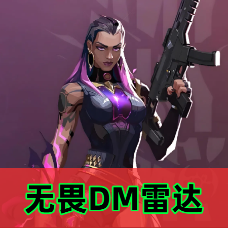 无畏契约DM雷达