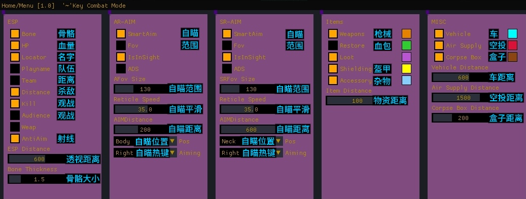 绝地求生RE辅助翻译图1.jpg